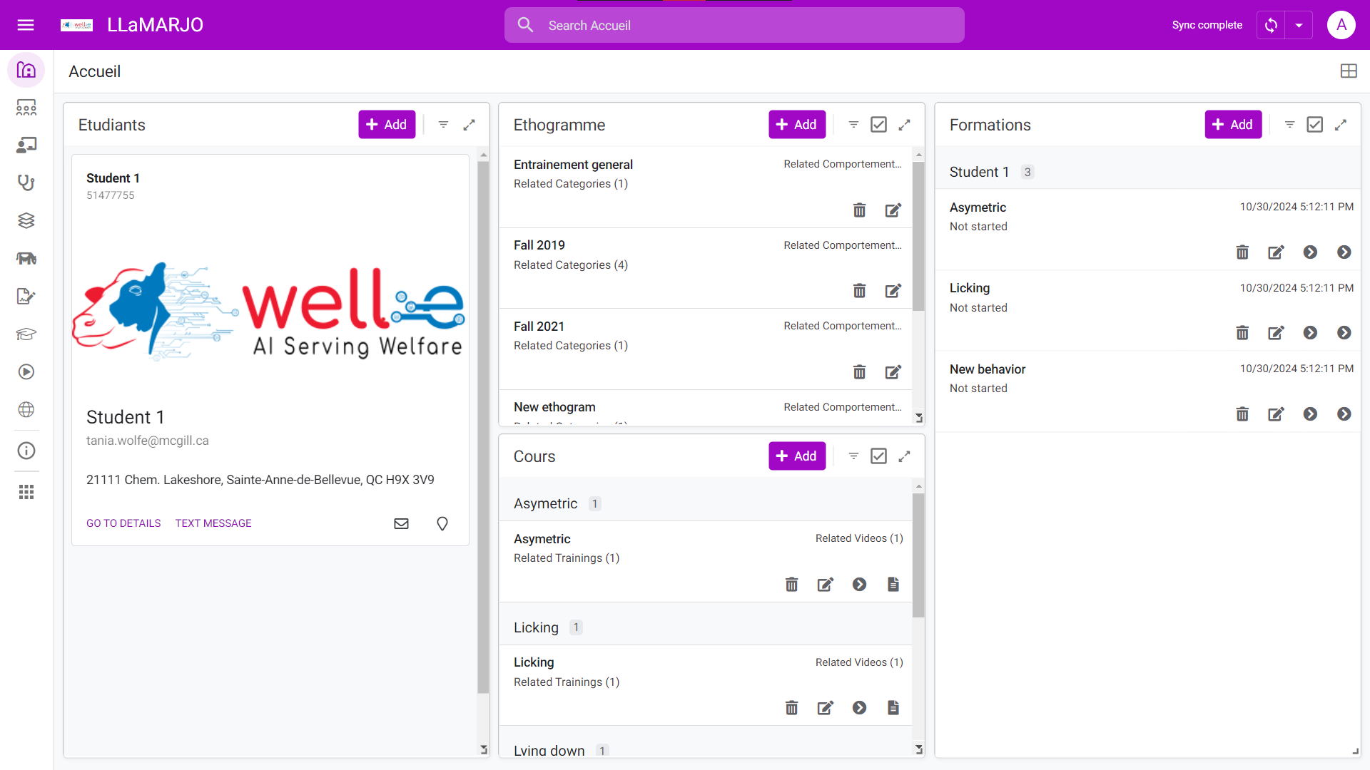 An example screenshot of the LLaMARJO webapp